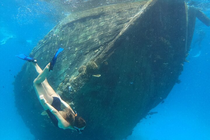 Maafushi: relitto di nave e snorkeling con lo squalo nutrice con osservazione dei delfini