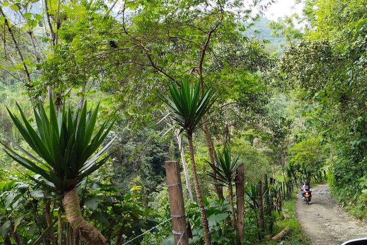 Udflugt til La Plata-vandfaldet i Ibagué (490 meter det højeste i Tolima)