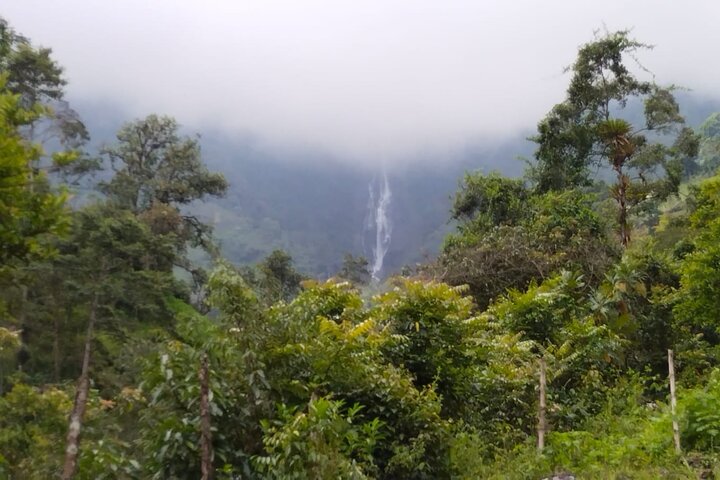 Udflugt til La Plata-vandfaldet i Ibagué (490 meter det højeste i Tolima)