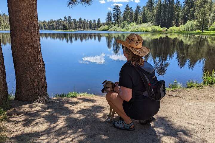 Visite hors route de Big Bear Jeep avec randonnée dans la réserve de Bluff Lake