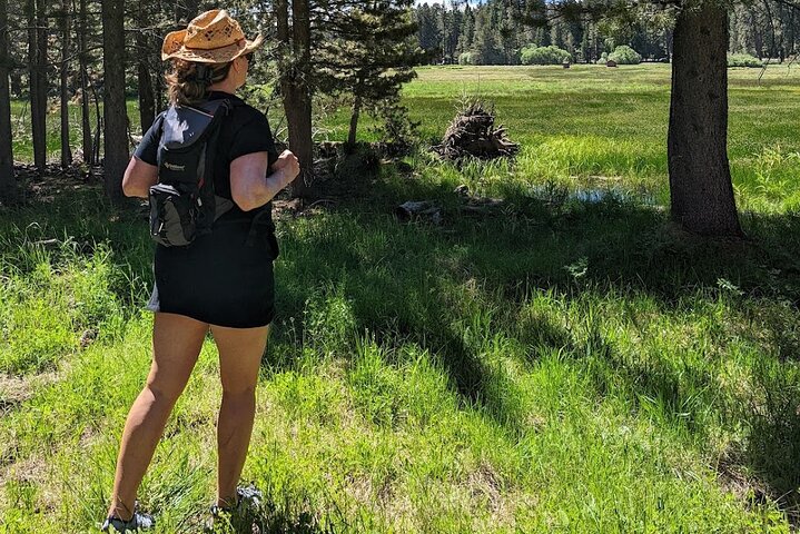 Visite hors route de Big Bear Jeep avec randonnée dans la réserve de Bluff Lake