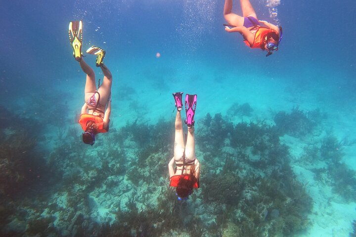 Excursión de esnórquel en dos arrecifes de Cayo Largo: ¡todo el equipo de esnórquel incluido!