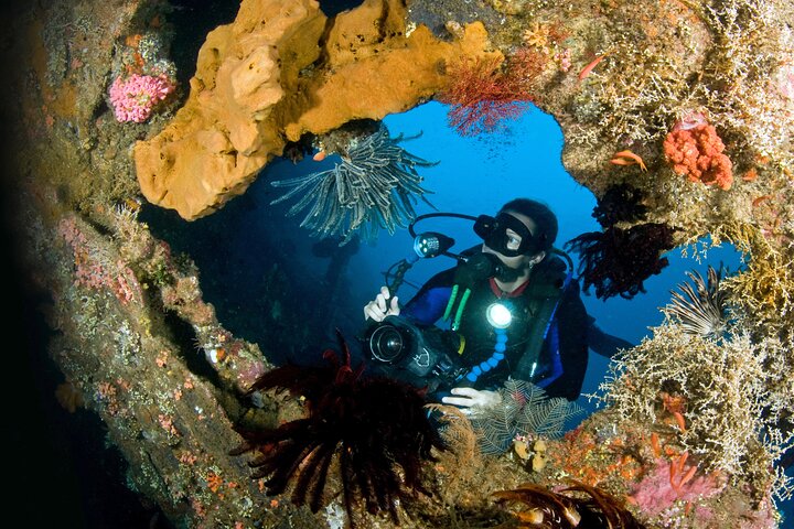 PADI Open Water Course i Tulamben - Bliv certificeret og dyk hvor som helst i verden