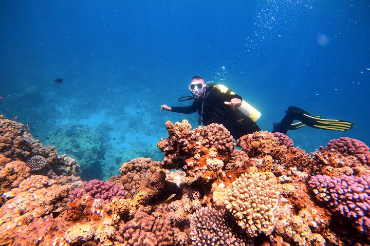 Privates Taucherlebnis im Herzen des Roten Meeres in Aqaba