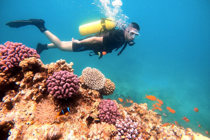 Privates Taucherlebnis im Herzen des Roten Meeres in Aqaba