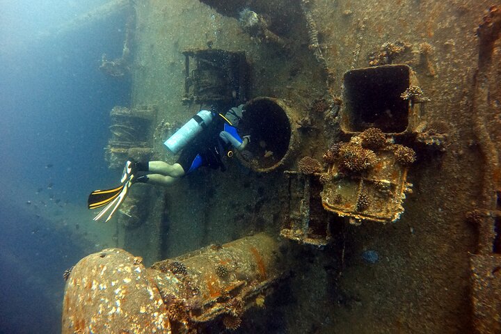 Privates Taucherlebnis im Herzen des Roten Meeres in Aqaba