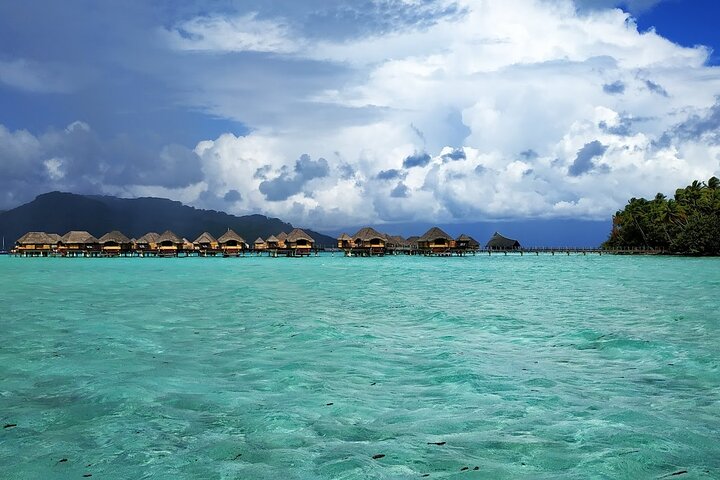 1/2 giornata Tahaa Coral Garden - partenza Raiatea / ideale per crocieristi