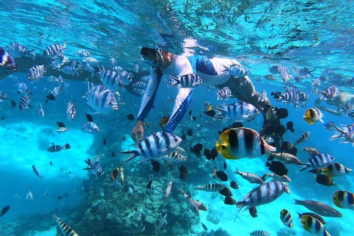 1/2 giornata Tahaa Coral Garden - partenza Raiatea / ideale per crocieristi