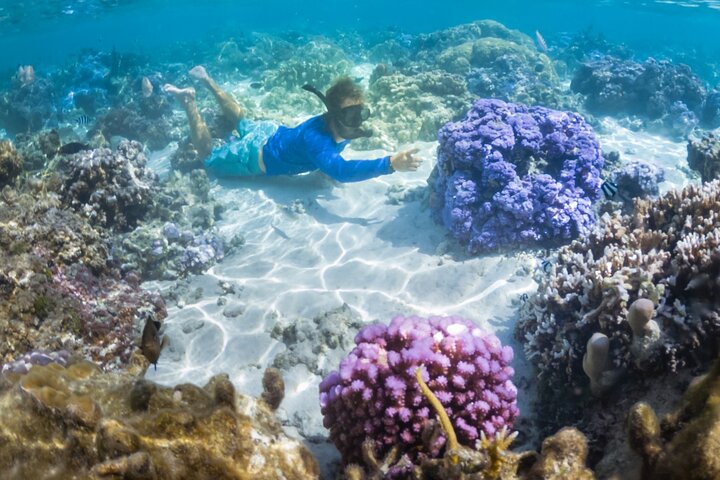 1/2 giornata Tahaa Coral Garden - partenza Raiatea / ideale per crocieristi