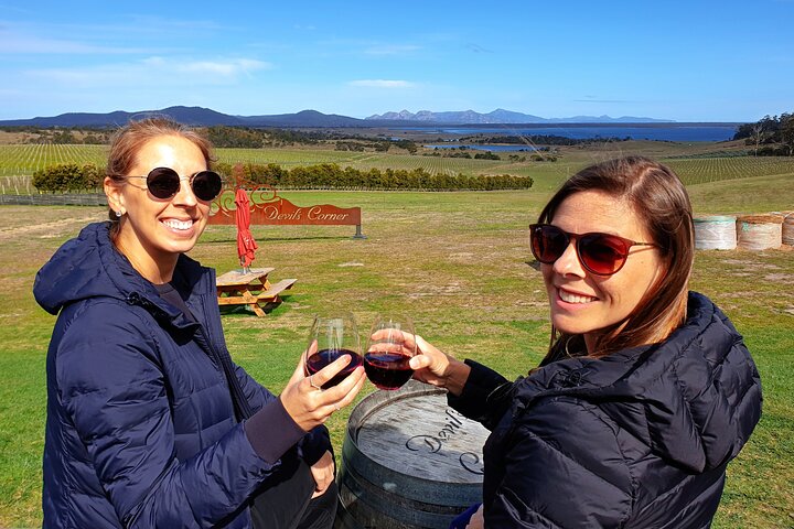 Tour di un'intera giornata a Wineglass Bay e Freycinet NP da Hobart via Richmond Village