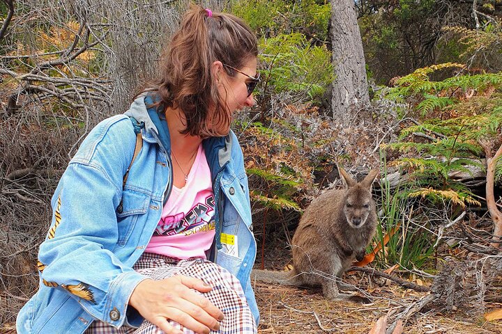 Tour di un'intera giornata a Wineglass Bay e Freycinet NP da Hobart via Richmond Village