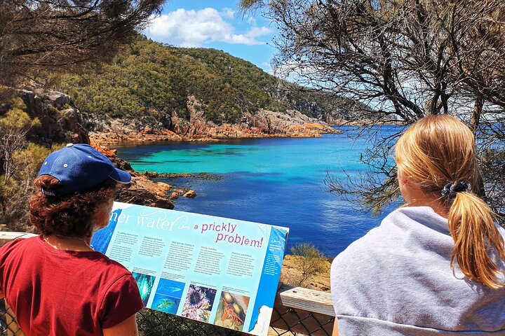 Tour di un'intera giornata a Wineglass Bay e Freycinet NP da Hobart via Richmond Village