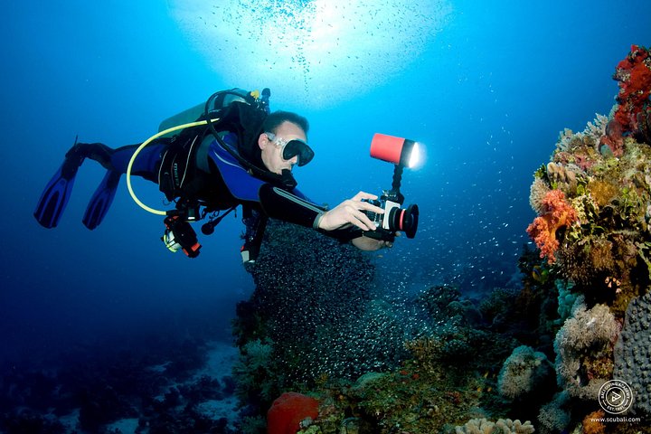 3 plongées Nusa Lembongan - Penida, plongeur certifié (à Lembongan)