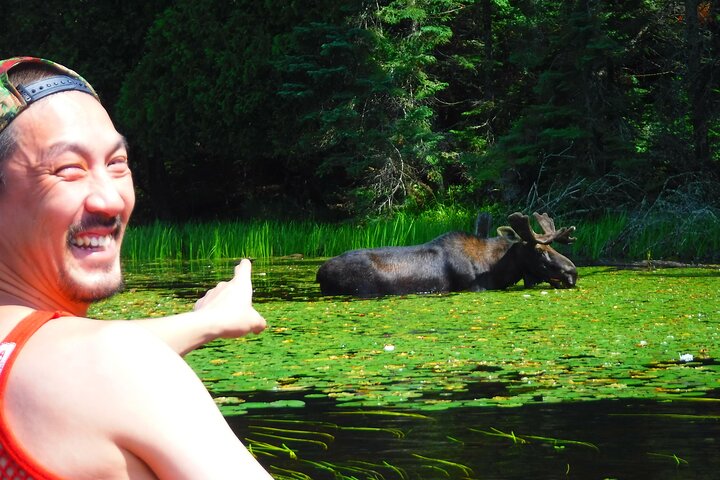 Hoteller i nærheden af Algonquin Park 3 - Day Deluxe Camping & Canoeing Adventure