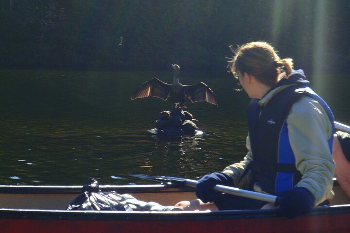 Hoteller i nærheden af Algonquin Park 3 - Day Deluxe Camping & Canoeing Adventure