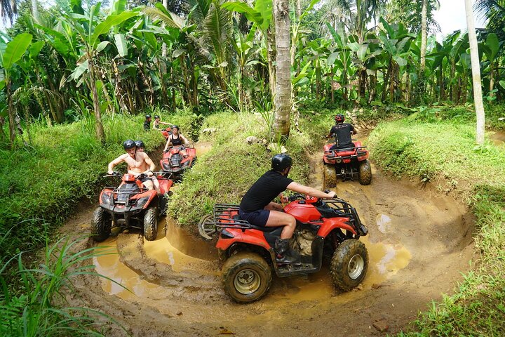 Tour en Quad ATV en Ubud Cueva del Gorila y Almuerzo