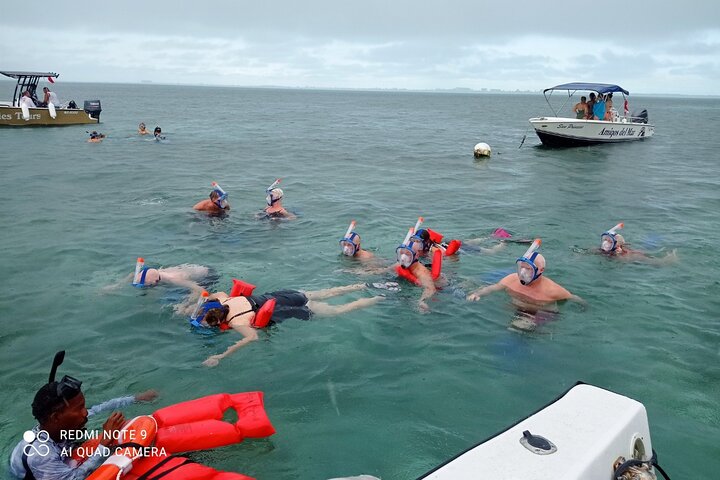 Full-Day Snorkel at Hol Chan, Shark Ray & More; San Pedro Belize
