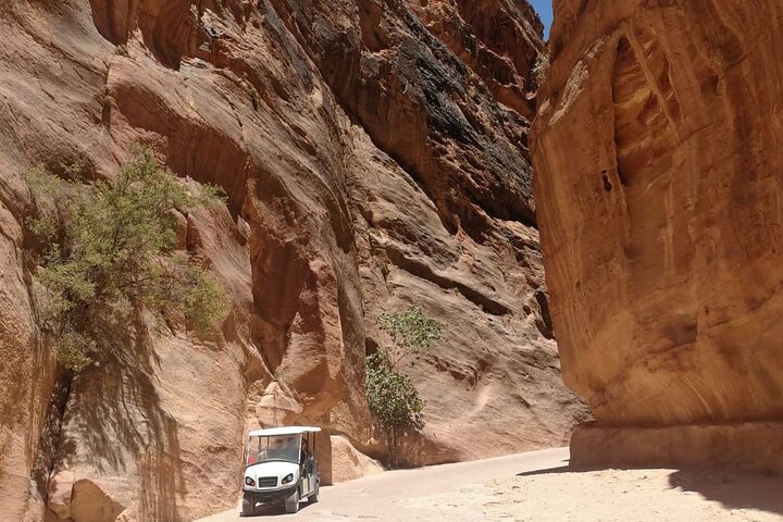 Petra met en évidence la visite guidée en panier avec prise en charge à l'hôtel
