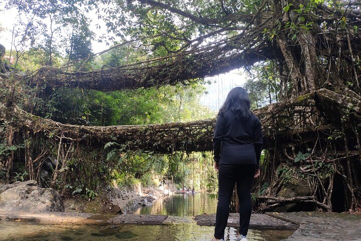 Paquete turístico de 7 días en Kaziranga y Meghalaya