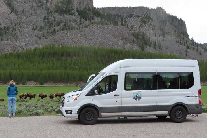 Lower Loop Van Tour från West Yellowstone: Grand Prismatic och Old Faithful