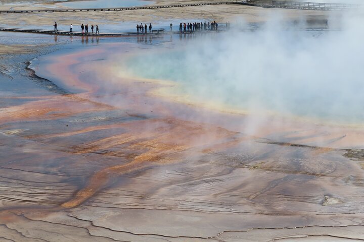 Lower Loop Van Tour från West Yellowstone: Grand Prismatic och Old Faithful