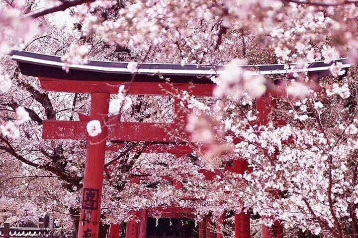 Privat ankomstoverføring fra Kansai International flyplass til Kyoto City