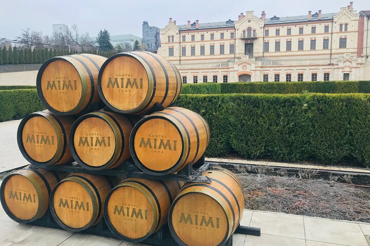 Soviet Heritage of Transnistria and Castle Mimi Winery