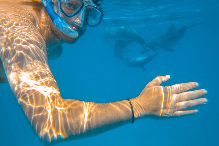 Speciale Wasini Island-tour van een hele dag met snorkelen en lunch