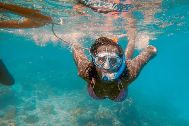 Speciale Wasini Island-tour van een hele dag met snorkelen en lunch