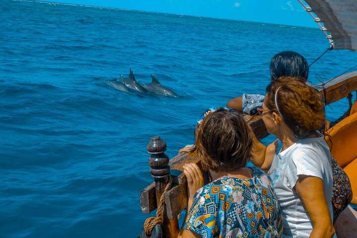Speciale Wasini Island-tour van een hele dag met snorkelen en lunch