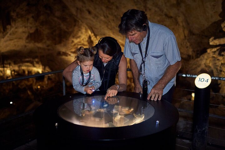 Excursão de áudio autoguiada pela Mammoth Cave (localizada na Austrália Ocidental)