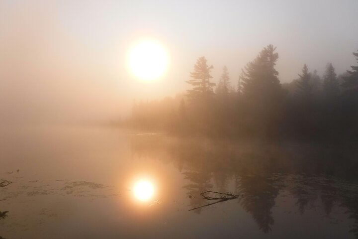 Hoteller i nærheden af Algonquin Park 4 - Day Deluxe Camping & Canoeing Adventure