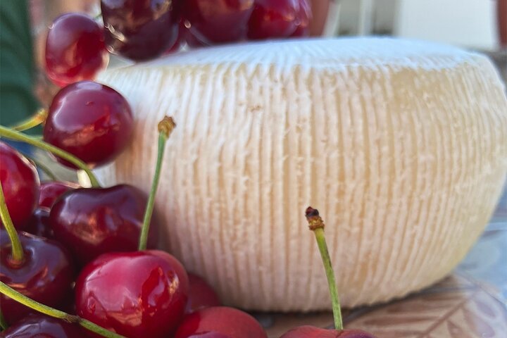 Experiencia Mozzarella - Tour con degustaciones de queso en Masseria Fragnite