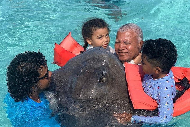 Fun Family 3 detiene la aventura StingrayCity