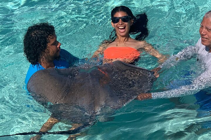 Fun Family 3 detiene la aventura StingrayCity