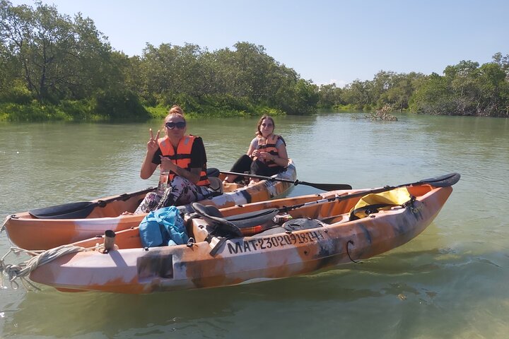 Esperienza in kayak nelle mangrovie dell'isola di Holbox
