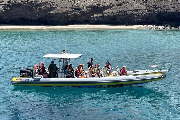 2 uur durende excursie dolfijnen en walvissen spotten + snorkelen