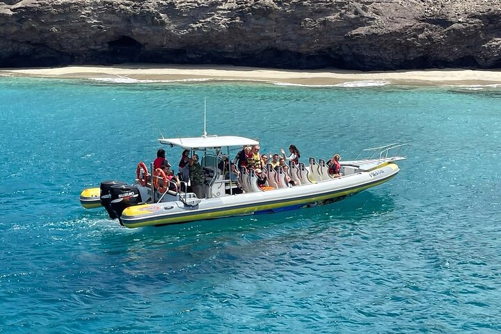 2 uur durende excursie dolfijnen en walvissen spotten + snorkelen