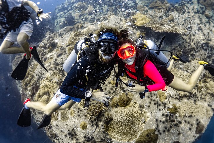 Paquetes de buceo divertido (buceadores certificados)