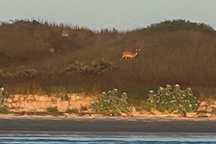 Privat Dolphin Watch och Sunset Boat Tour Port Aransas Texas