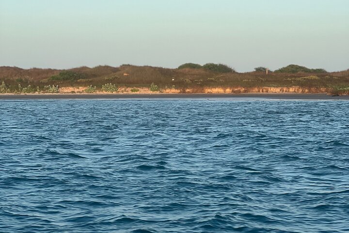 Privat Dolphin Watch och Sunset Boat Tour Port Aransas Texas