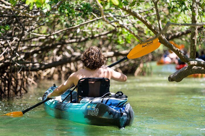 Mangrovetunnel begeleid kajakavontuur in Sarasota