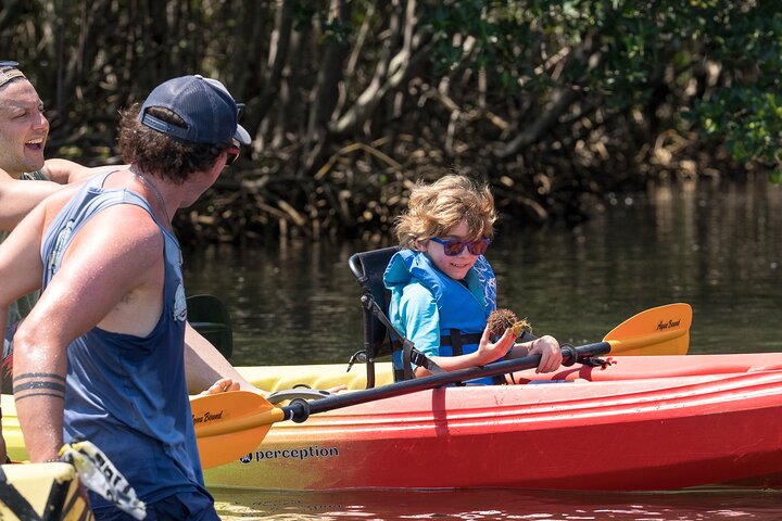 Mangrovetunnel begeleid kajakavontuur in Sarasota