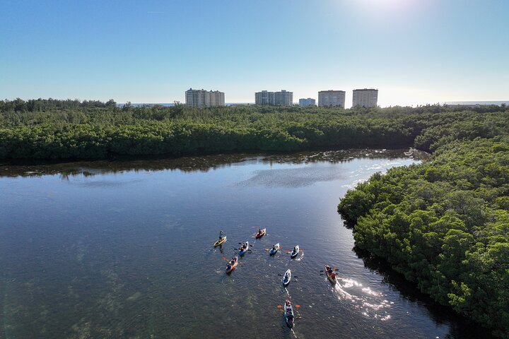 Mangrovetunnel begeleid kajakavontuur in Sarasota