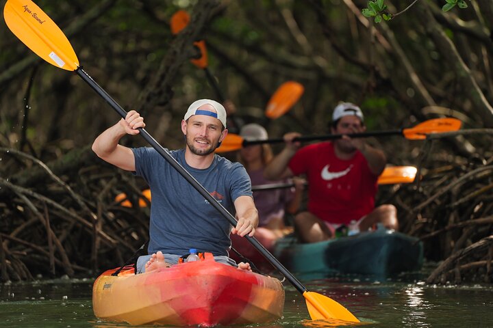 Mangrovetunnel begeleid kajakavontuur in Sarasota