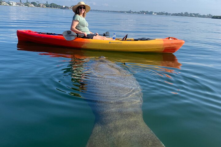 Mangrovetunnel begeleid kajakavontuur in Sarasota