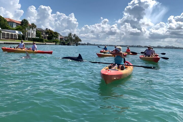 Mangrovetunnel begeleid kajakavontuur in Sarasota