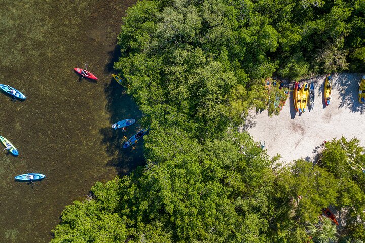 Mangrovetunnel begeleid kajakavontuur in Sarasota