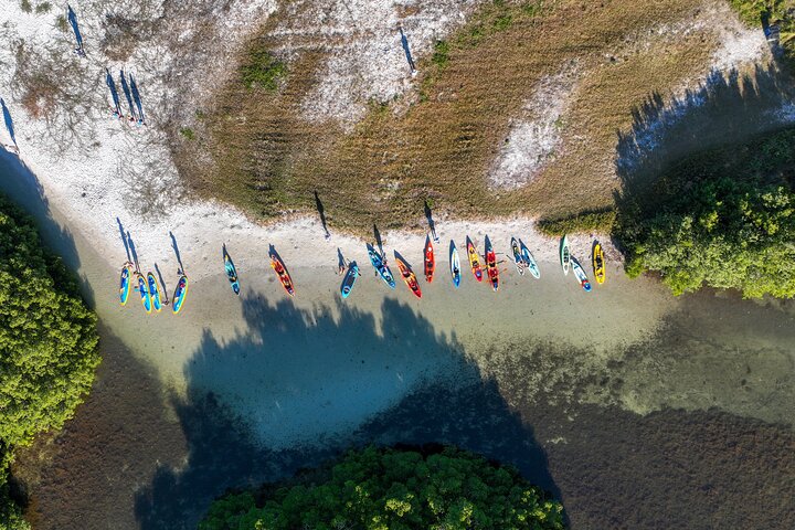 Mangrovetunnel begeleid kajakavontuur in Sarasota