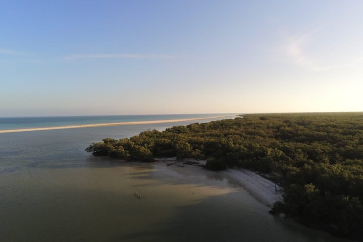 Esperienza in kayak nelle mangrovie dell'isola di Holbox